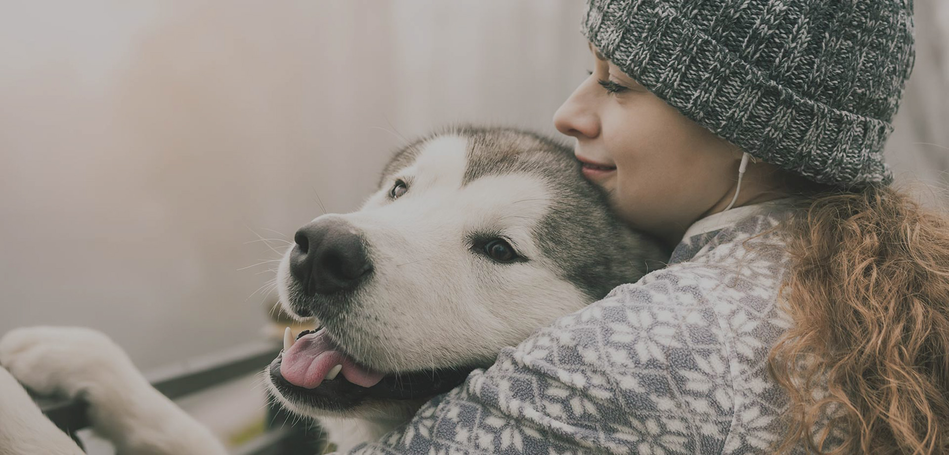 Veterinarian and Pet Boarding in Kalamazoo Vet Near You Pet Vet