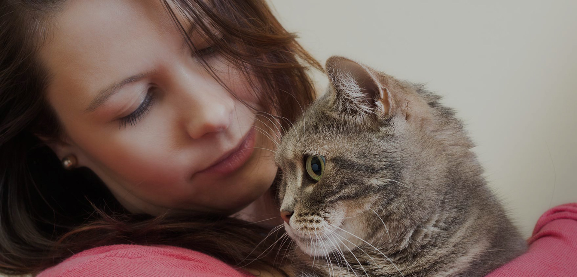 Veterinarian and Pet Boarding in Kalamazoo Vet Near You Pet Vet