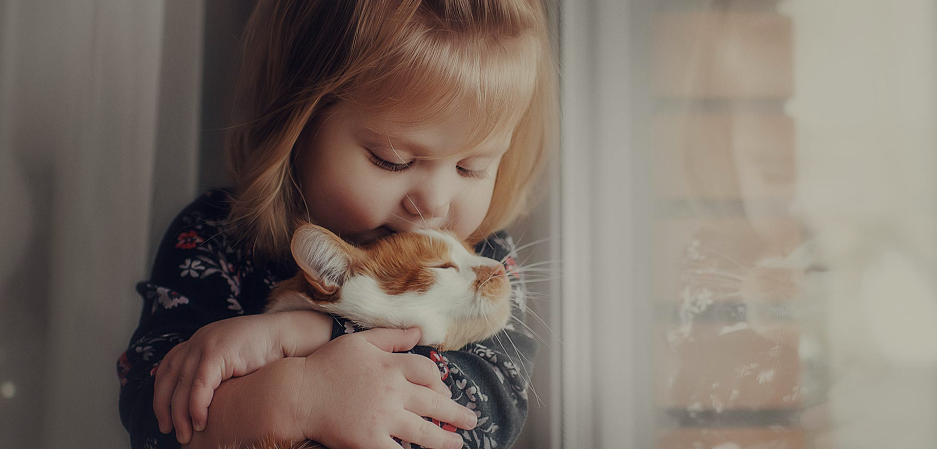 Veterinarian and Pet Boarding in Kalamazoo Vet Near You Pet Vet