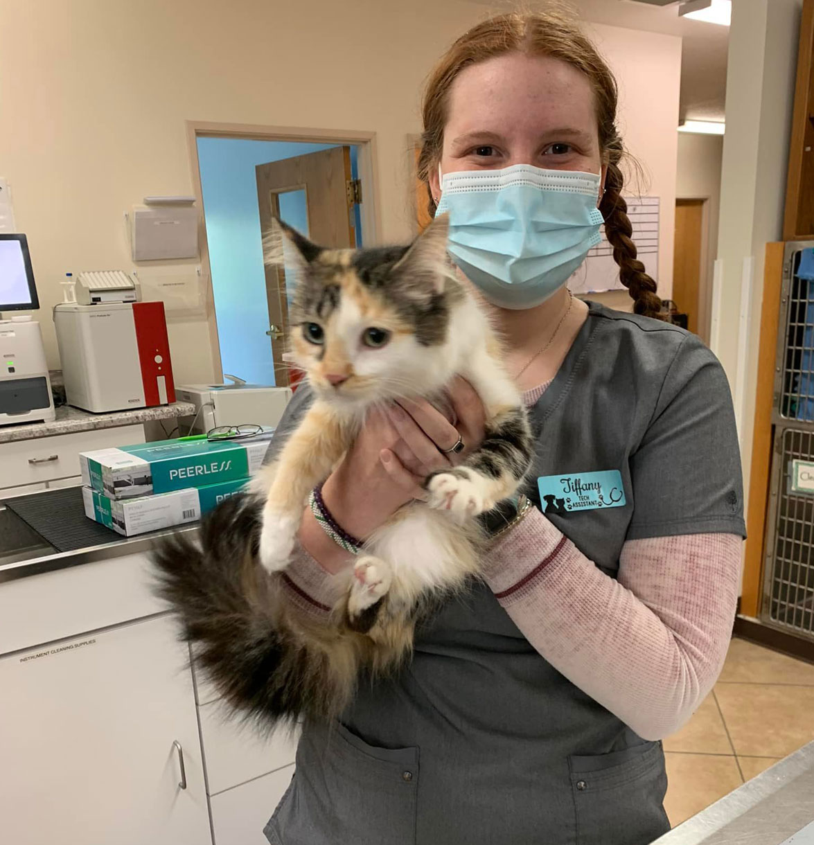 Careers Vet in Kalamazoo Pet Vet Family Pet Care Center